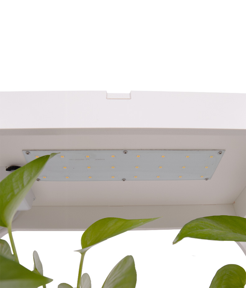 LED Table Growing Fixture