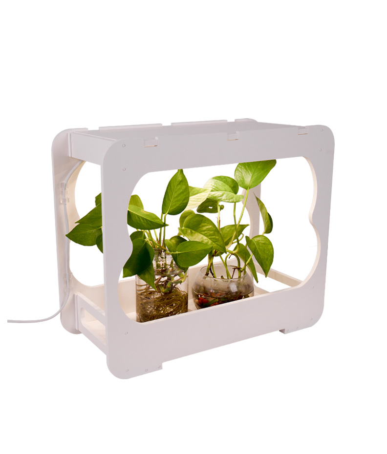 LED Table Growing Fixture