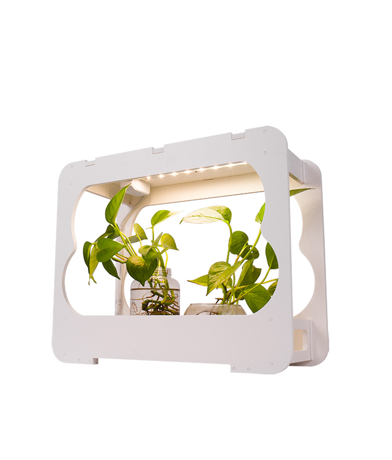 LED Table Growing Fixture