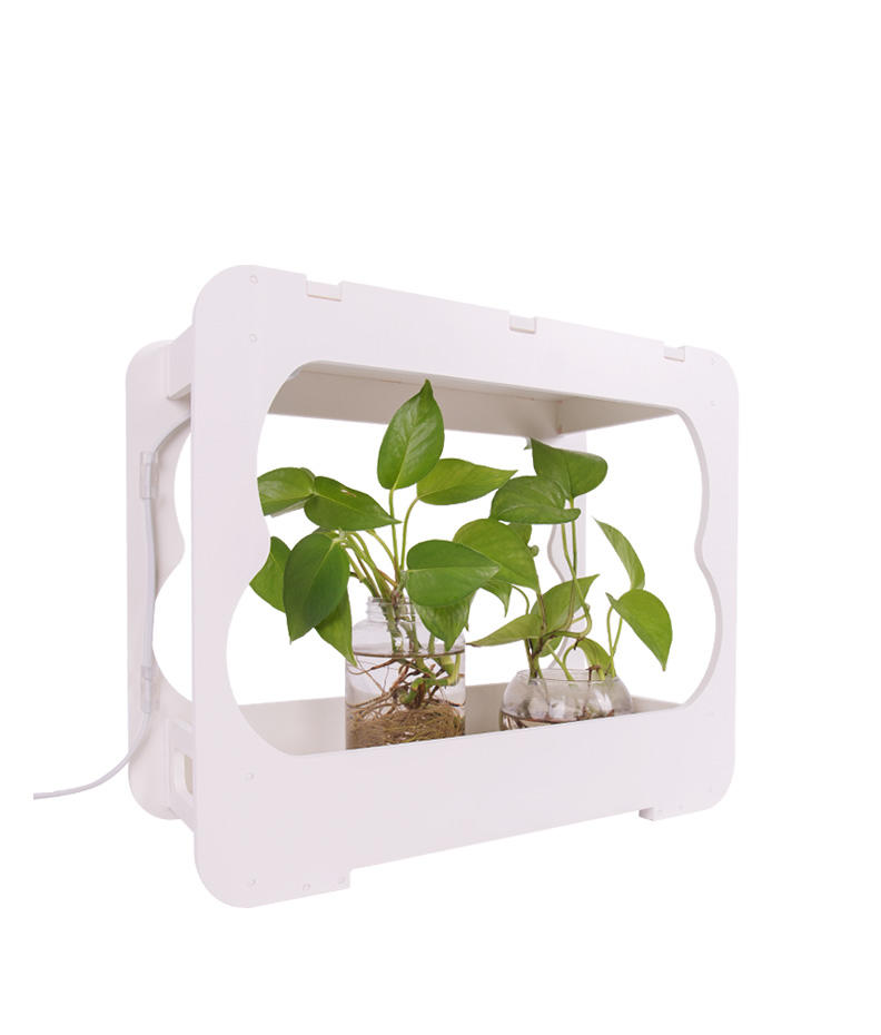 LED Table Growing Fixture