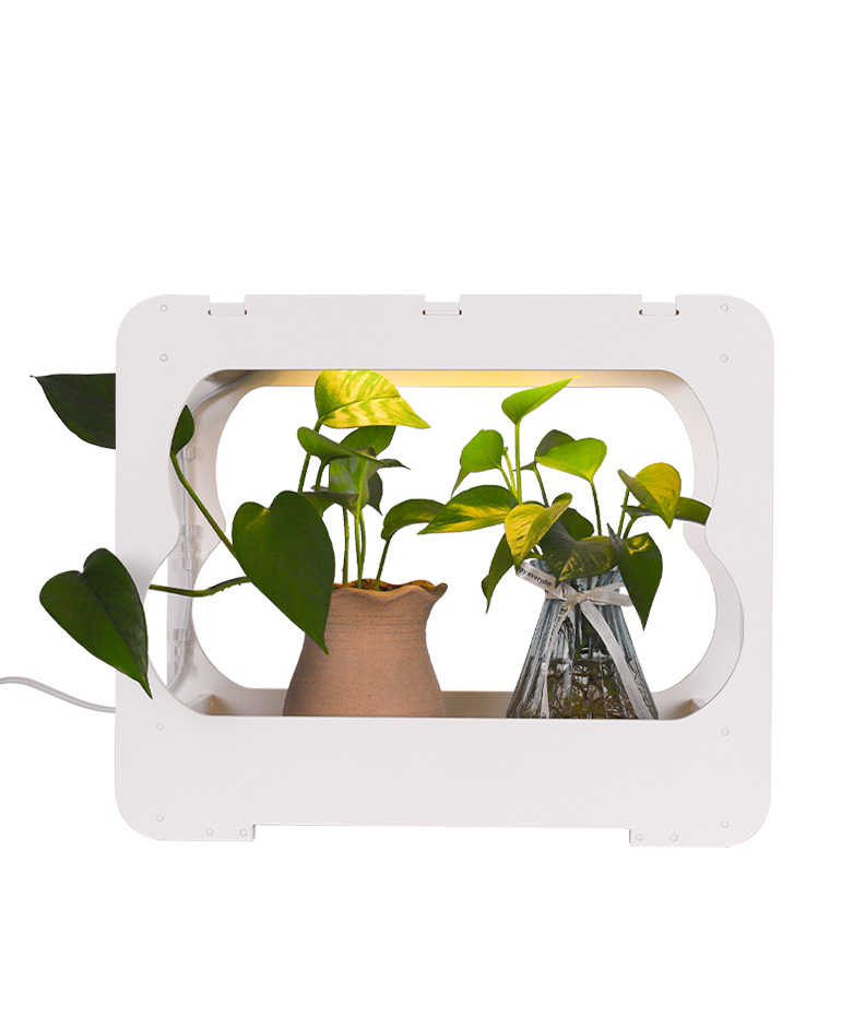LED Table Growing Fixture
