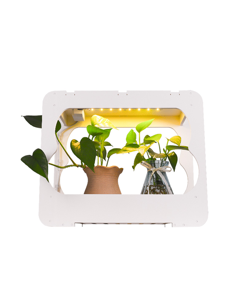 LED Table Growing Fixture