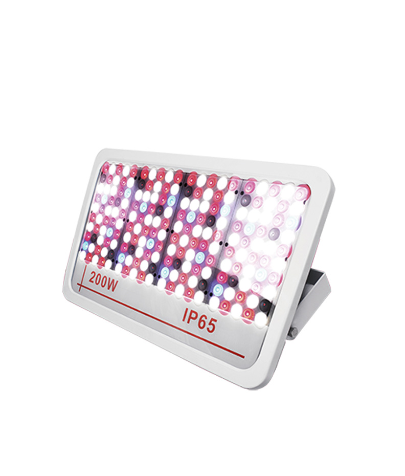 LED Flood Light