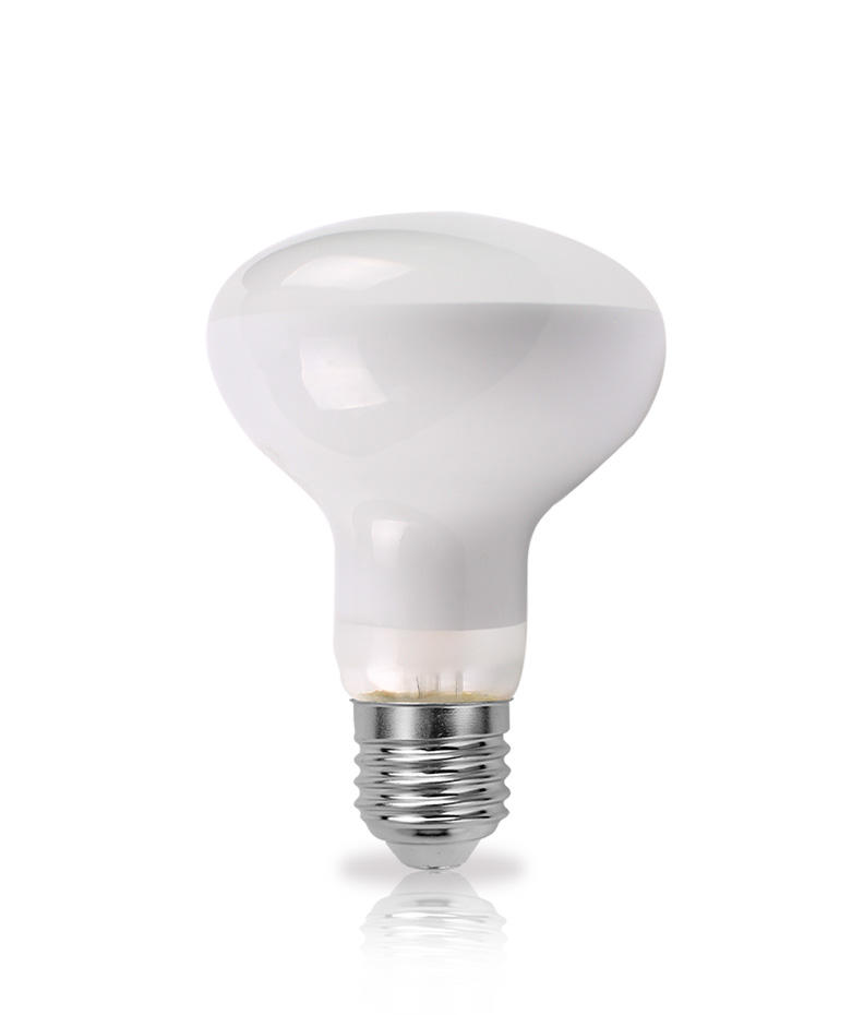 R Series General LED Filament Bulb
