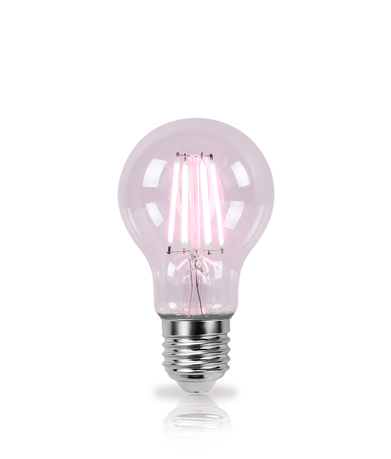 LED Filament Bulb
