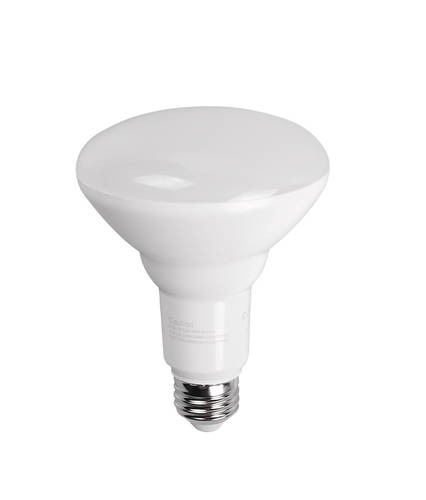 LED Bulb BR30 & PAR38