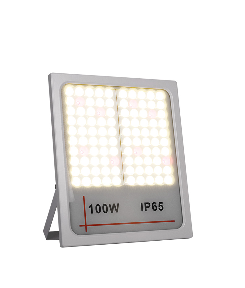 LED Flood Light