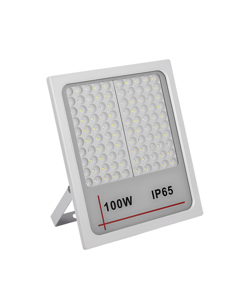 LED Flood Light