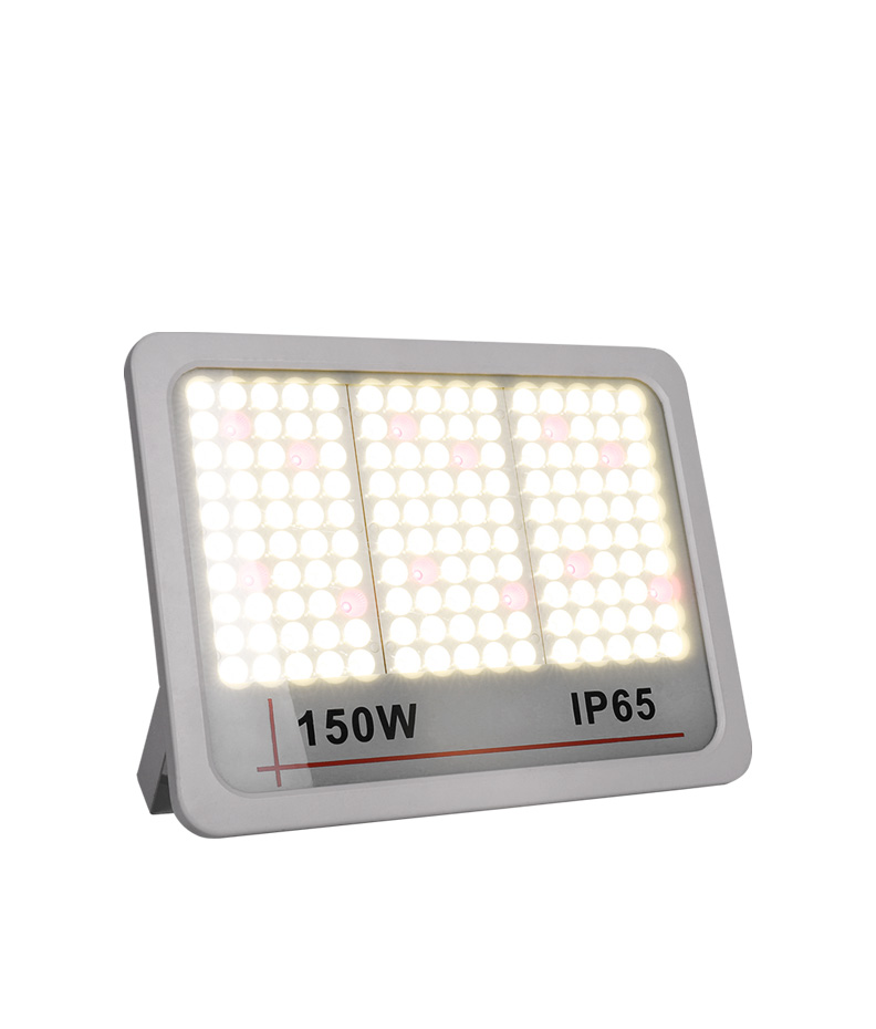 LED Flood Light