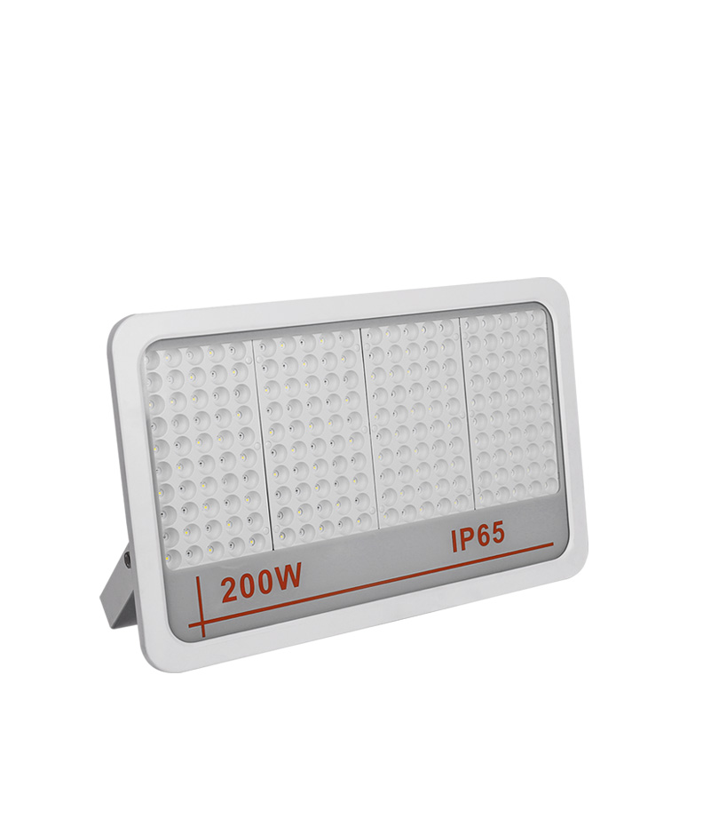 LED Flood Light