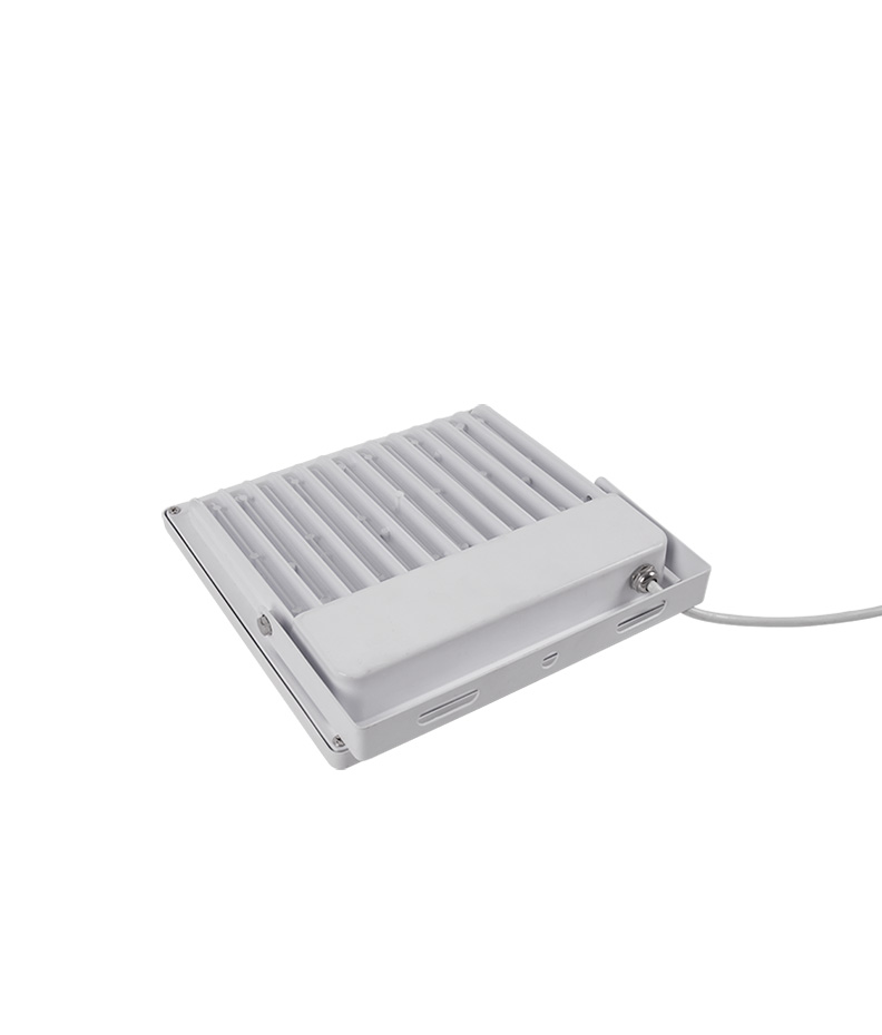 LED Flood Light