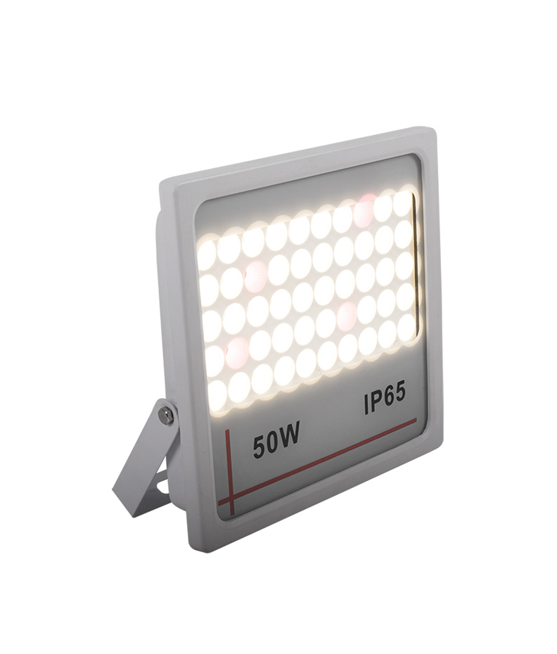 LED Flood Light