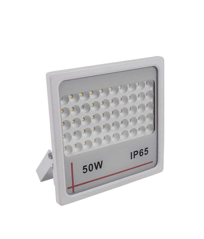 LED Flood Light