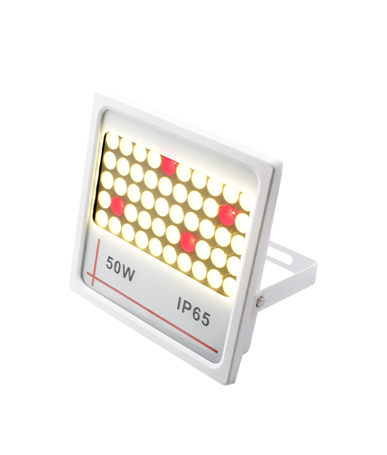 LED Flood Light