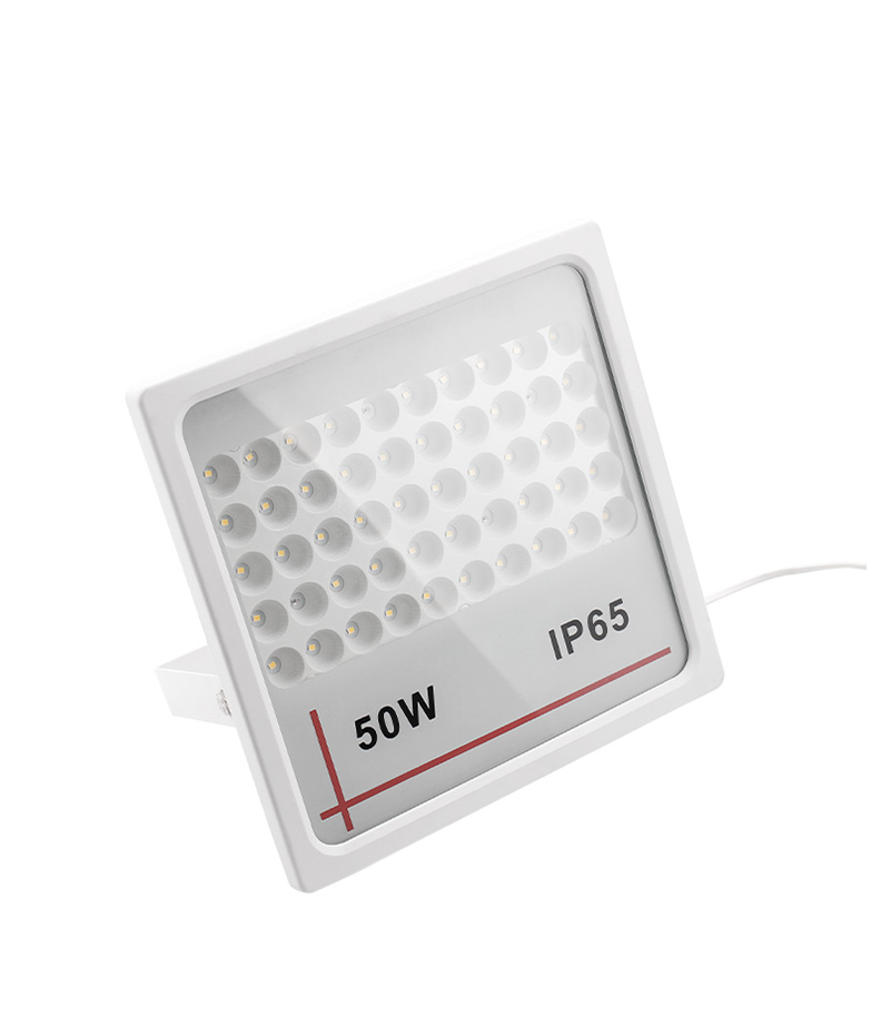 LED Flood Light