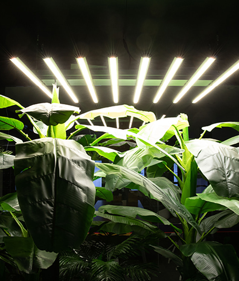 LED Newlights Harvest Lamp