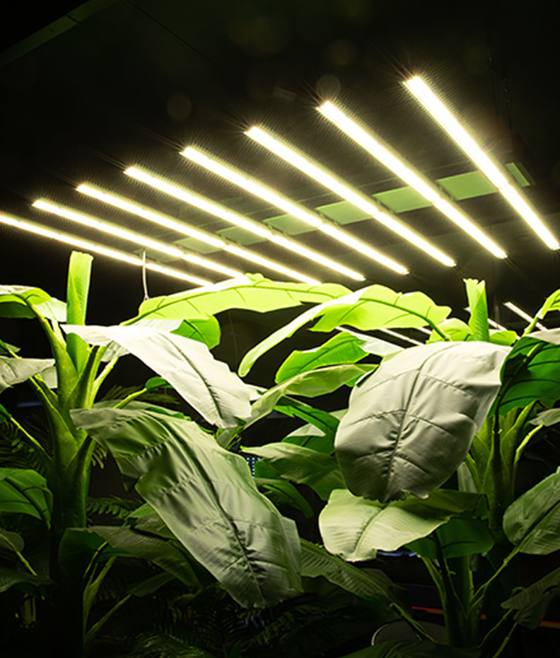 LED Newlights Harvest Lamp