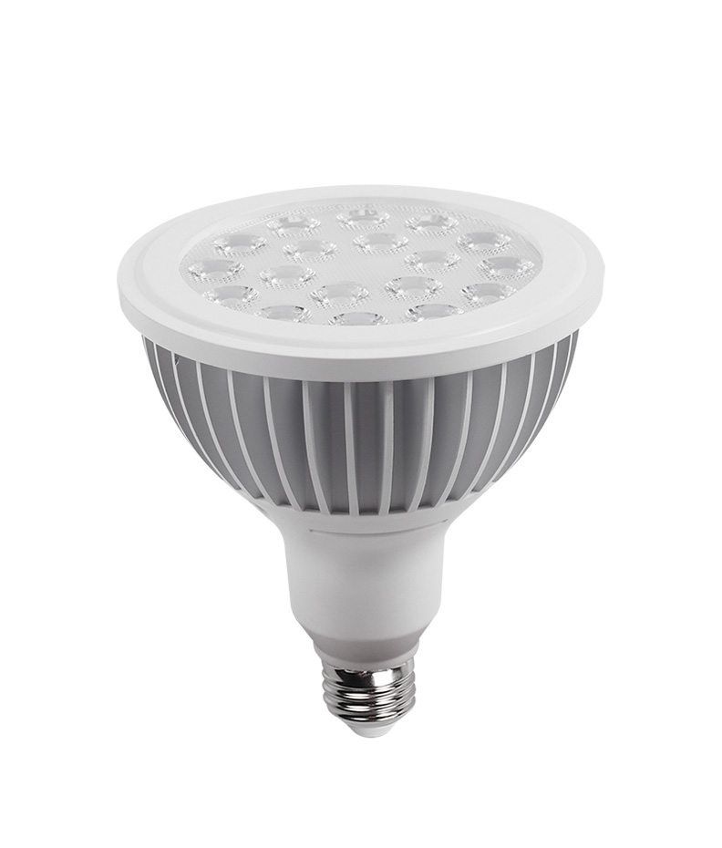 LED Bulb BR30 & PAR38