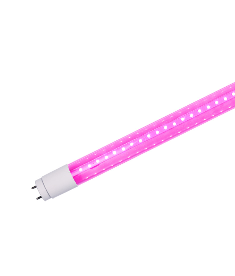 T8 LED Glass Tube