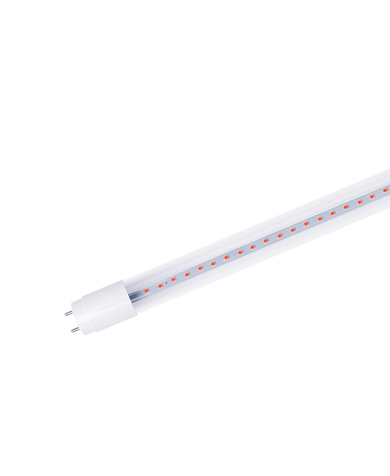 T8 LED Glass Tube