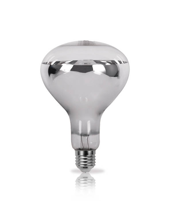 R Series Traditional Incandescent Lamps