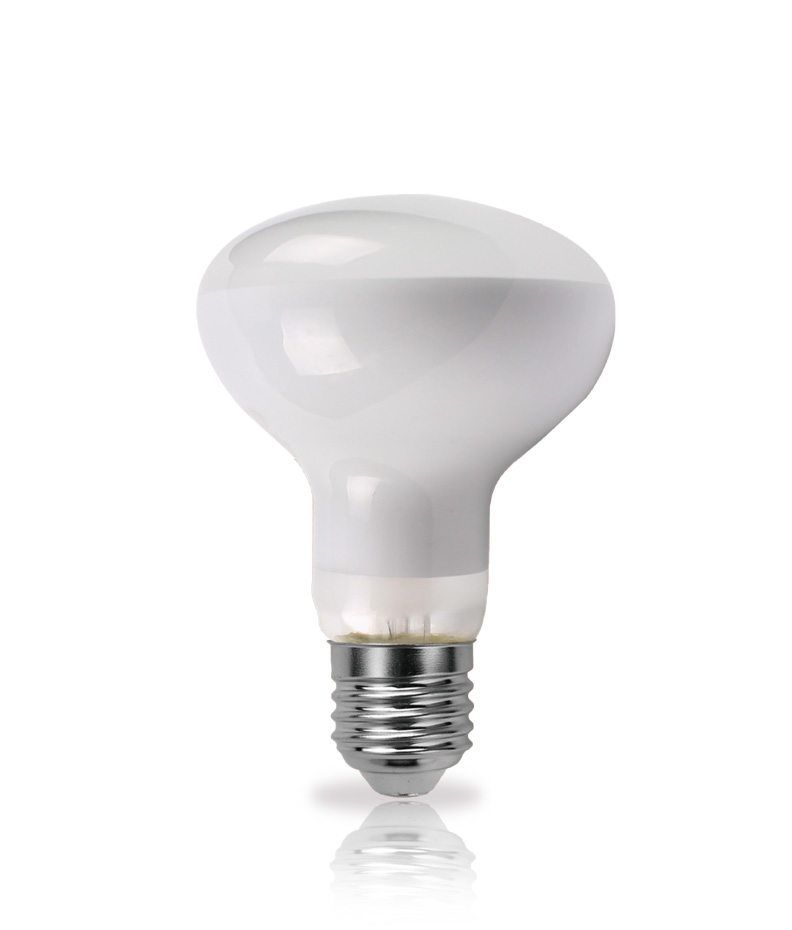 R Series Traditional Halogen Lamps