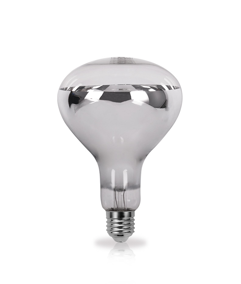R Series Traditional Halogen Lamps
