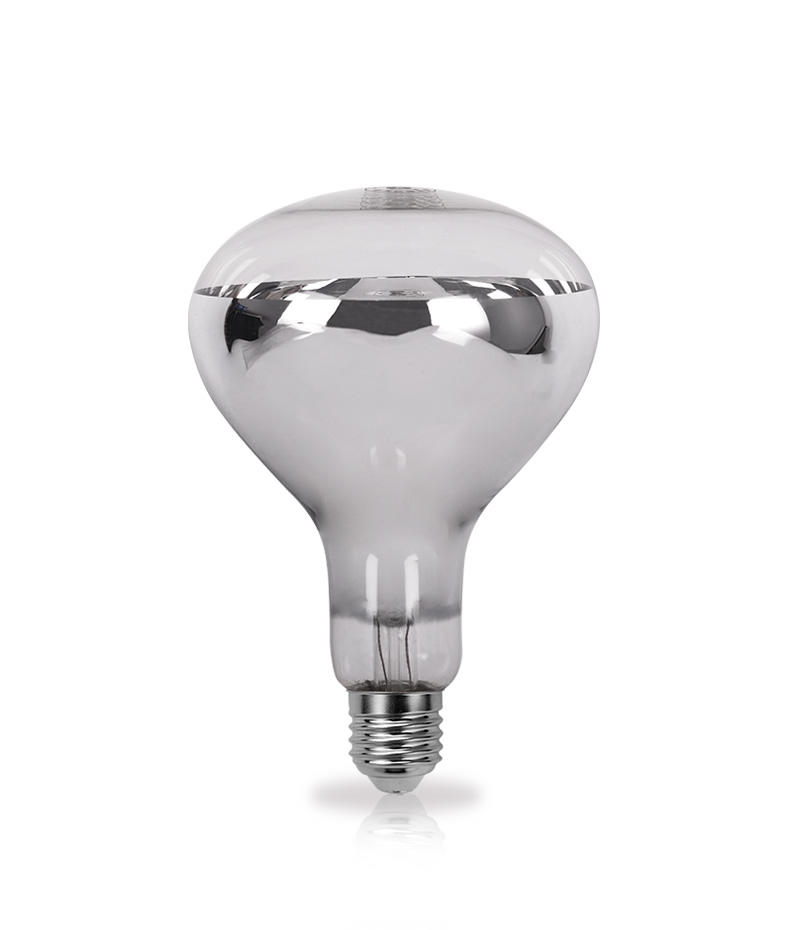 R Series Traditional Halogen Lamps