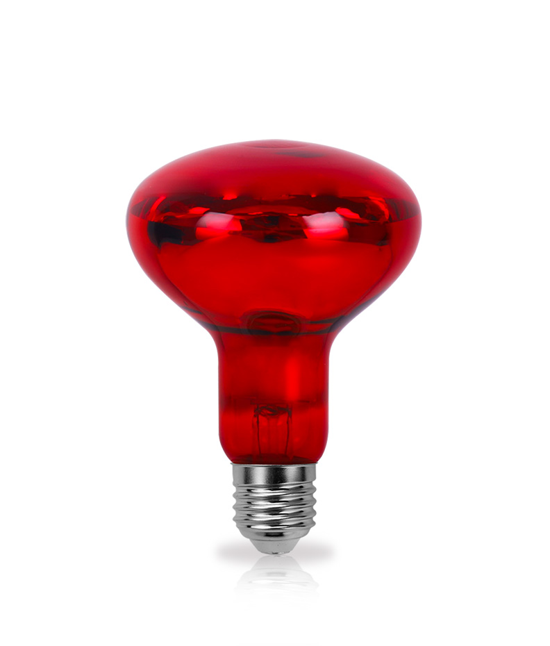 Livestock & Poultry Series Incandescent Lamps