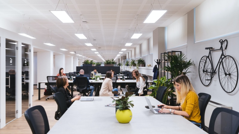 LED Panel Lights with Controls in a Commercial Office Commercial office ceiling with LED panel lights integrated with dimming and occupancy control systems