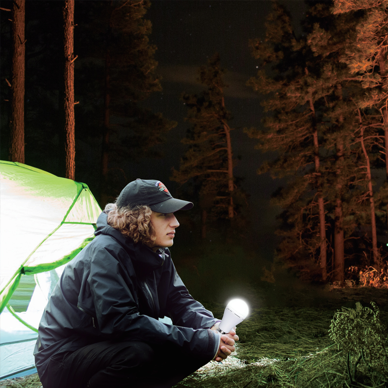 Emergency Type LED SMD Bulbs