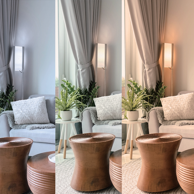 Switch CCT Control LED SMD Bulbs