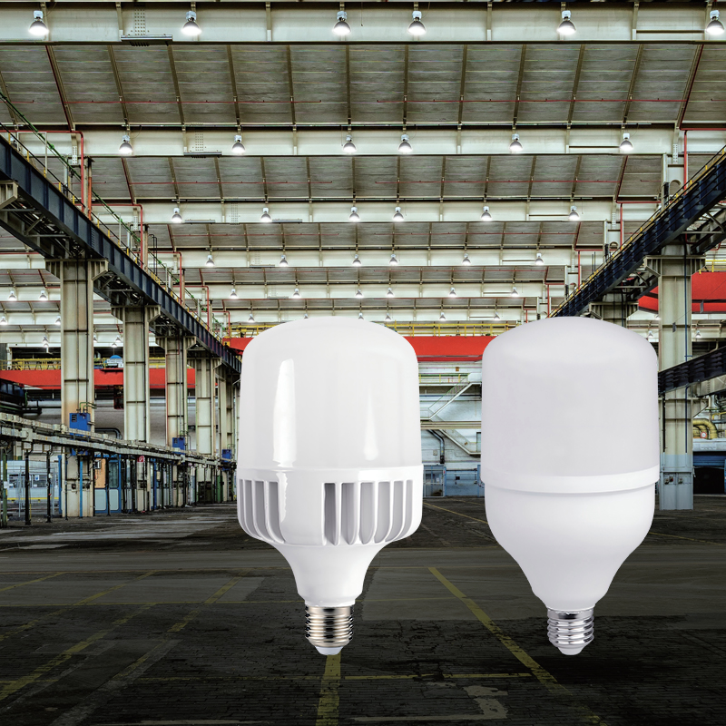 T Series LED SMD Bulbs