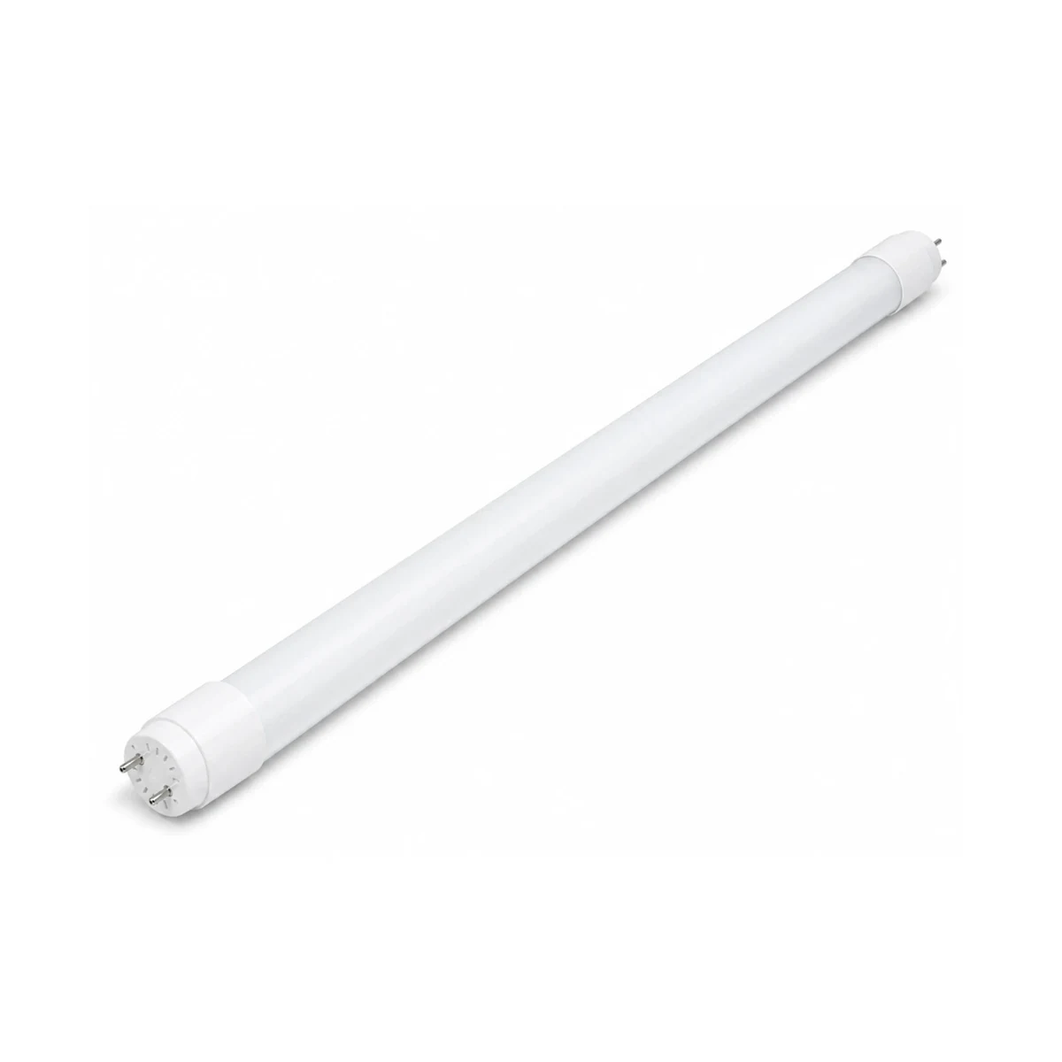 T8 LED tube with white G13 end cap on white background