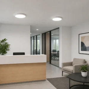 HY10 surface-mounted ceiling lights installed in an office reception