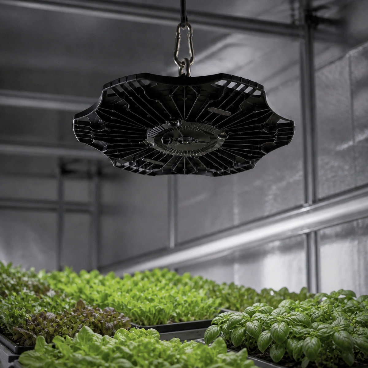 XGYPGL-UFO-E100 suspended above leafy greens in an indoor growing room