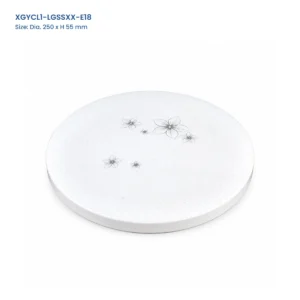 XGYCL1-LGSSXX-E18 super-slim LED ceiling light, 250 mm diameter by 55 mm