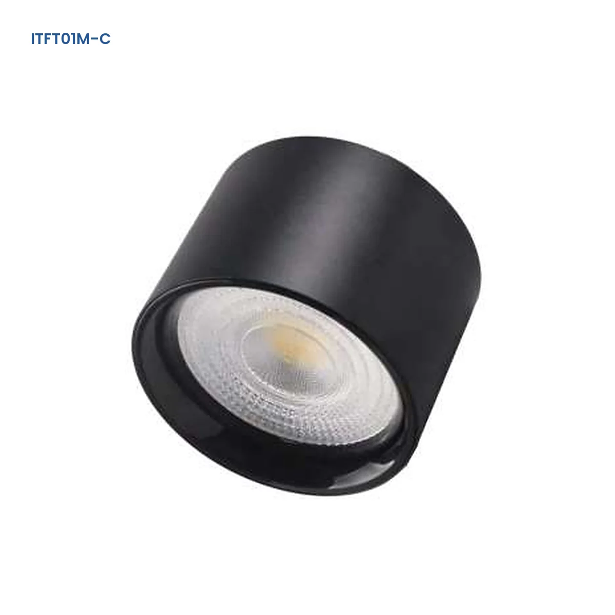 ITFT01M-C adjustable surface-mounted die-cast LED downlight with textured lens optic