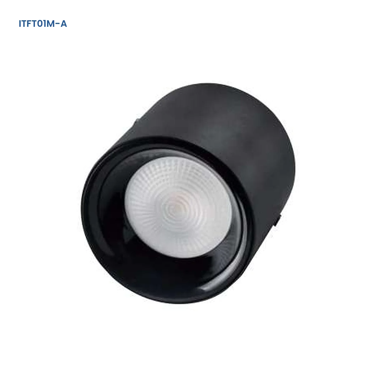 ITFT01M-A adjustable surface-mounted die-cast LED downlight with diffusing optic