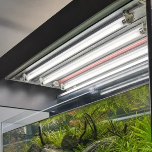 T5 fluorescent tubes installed in supported lampholders inside a professional freshwater aquarium canopy