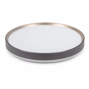 RGB Ambient Metal-Base LED Ceiling Lamps product image