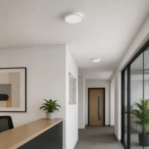 surface-mounted LED small panel lights installed directly on a dry indoor ceiling