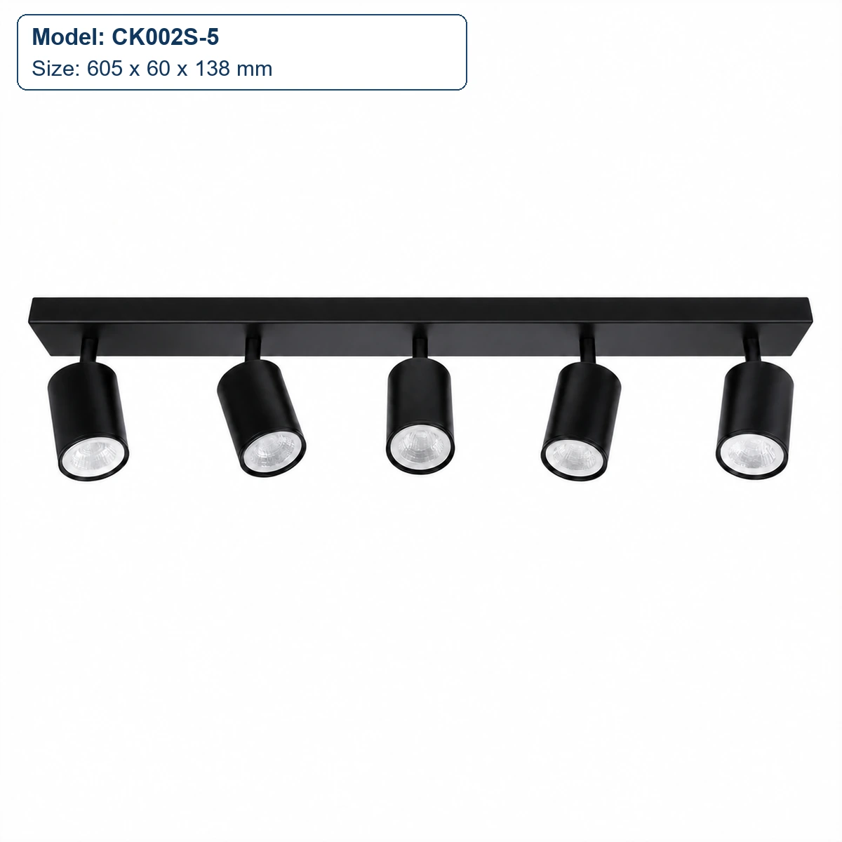 CK002S-5 5-head cylindrical linear housing, 605 x 60 x 138 mm