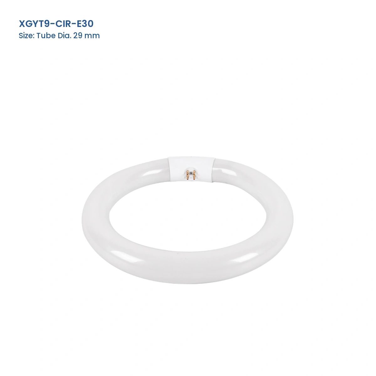 XGYT9-CIR-E30 white T9 circular fluorescent lamp with Tube Dia. 29 mm