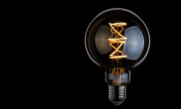 New Lights flexible-filament globe bulb photographed on a black background