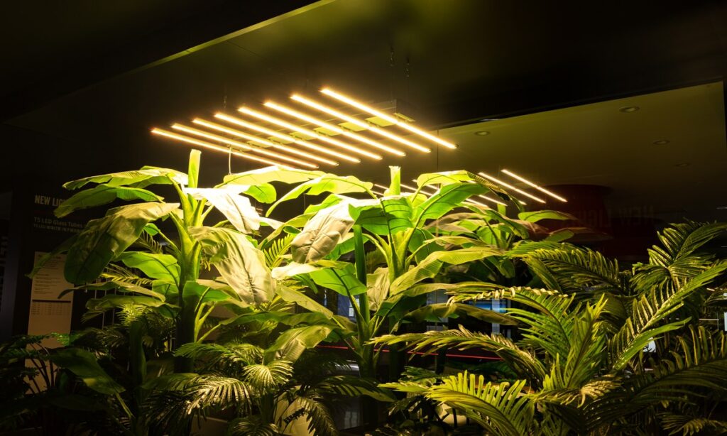 Horticultural lighting installed above plants in the New Lights showroom