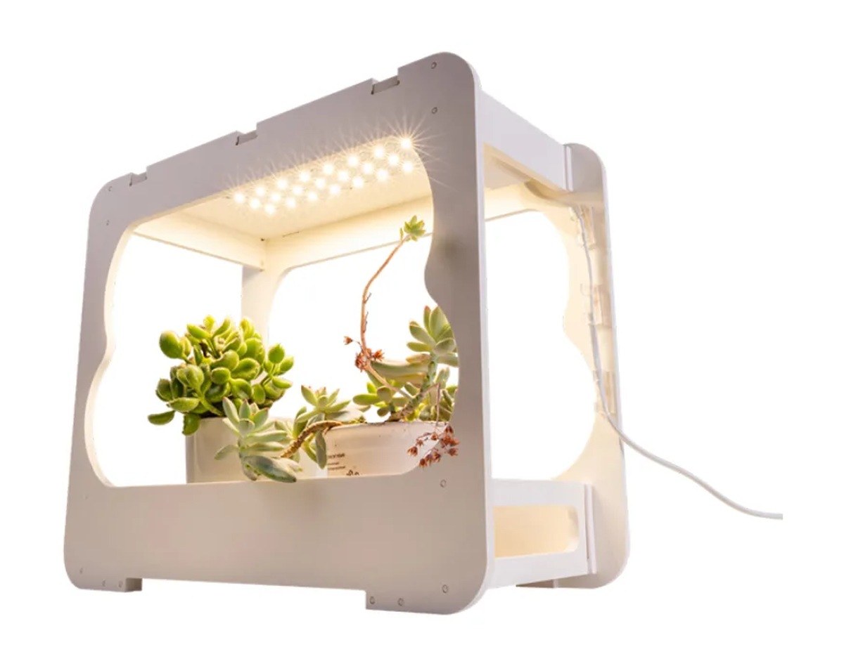 New Lights Desktop LED Growing Fixture holding small plants beneath the LED panel